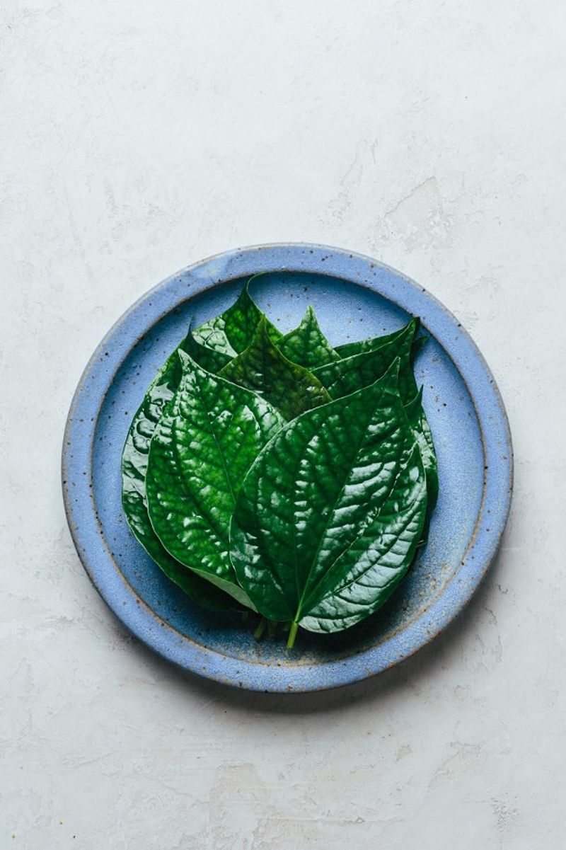 Fresh betel leaves ready for cooking