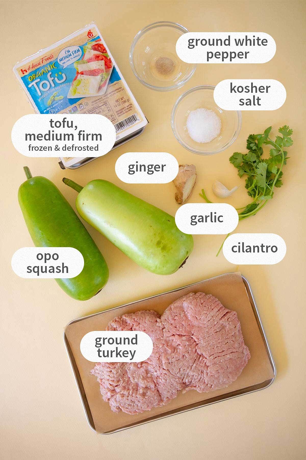 Labeled ingredients for opo squash soup